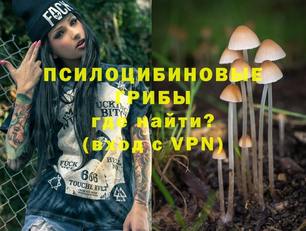 амф Абинск